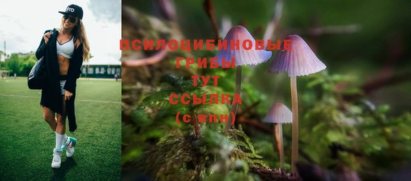 mix Гусиноозёрск