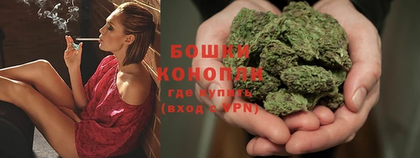 mix Гусиноозёрск