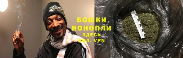 mix Гусиноозёрск