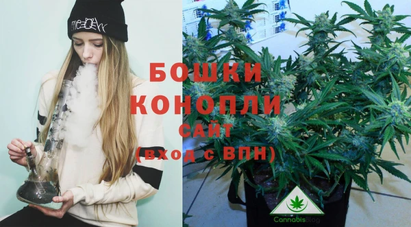 mix Гусиноозёрск