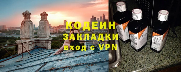 круглые Гусев