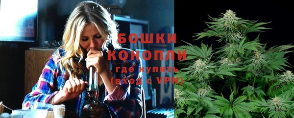 стаф Гусь-Хрустальный