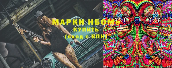 стаф Гусь-Хрустальный