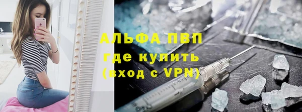 круглые Гусев