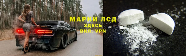 стаф Гусь-Хрустальный