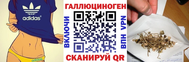 ОМГ ОМГ ССЫЛКА  Зеленодольск  Псилоцибиновые грибы мухоморы 