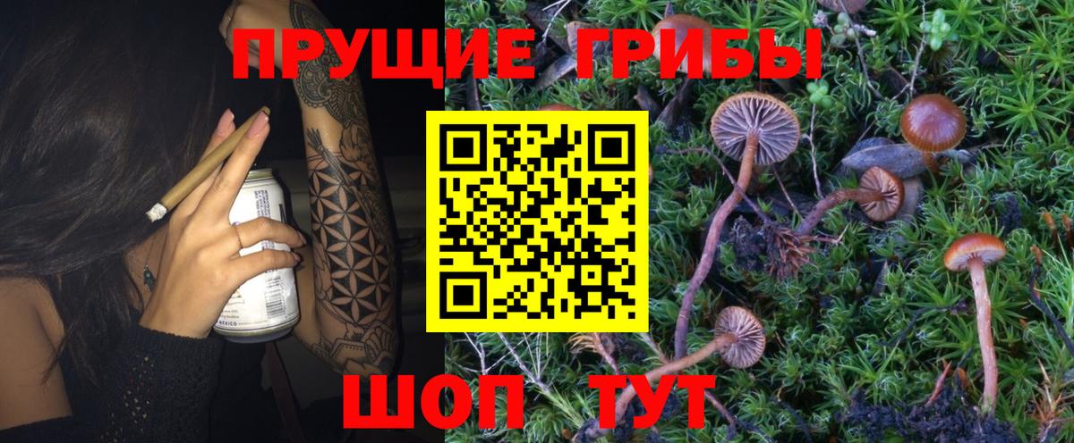 Псилоцибиновые грибы MAGIC MUSHROOMS  Псилоцибиновые грибы GOLDEN TEACHER  Зеленодольск 