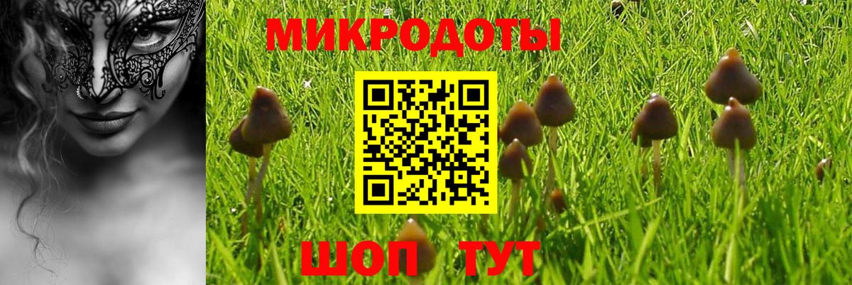 Псилоцибиновые грибы ЛСД Зеленодольск