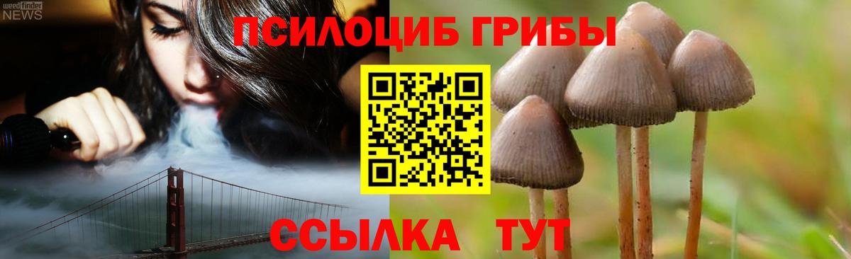 Псилоцибиновые грибы Magic Shrooms Зеленодольск