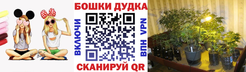 Канабис сатива  KRAKEN вход  Зеленодольск 